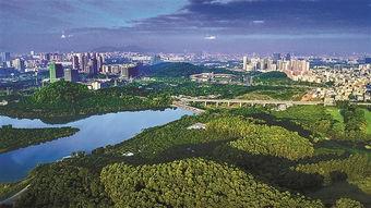 深圳光明新区最新爆料,揭秘发展新动向与未来蓝图  第2张 深圳光明新区最新爆料,揭秘发展新动向与未来蓝图  第2张